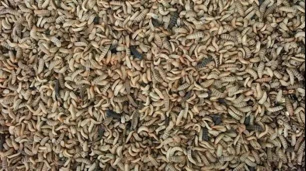 1507795160748997.jpg 微信图片_20171012160014.jpg