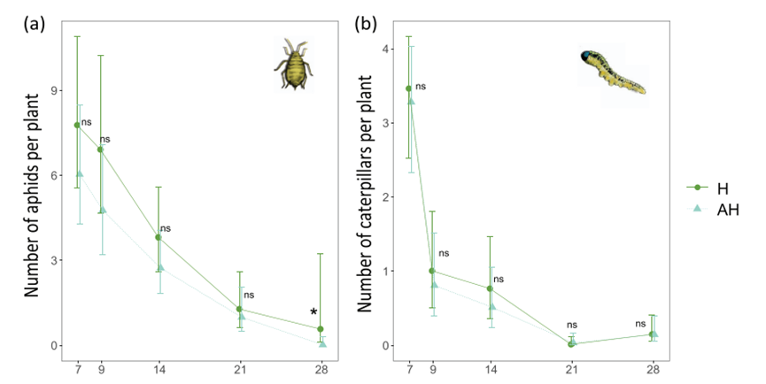 1670209600575728.png image.png