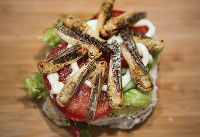 1676884397663018.png image.png