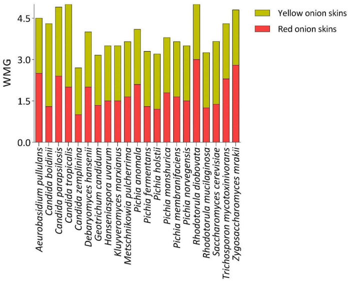 1722330619947429.jpg 1722330612487.jpg