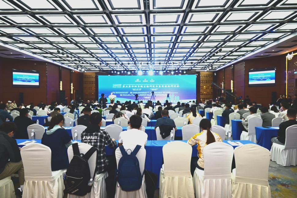 1761528863312198.png 1.png